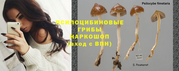 ПСИЛОЦИБИНОВЫЕ ГРИБЫ Каменка