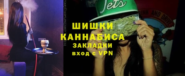 ПСИЛОЦИБИНОВЫЕ ГРИБЫ Каменка