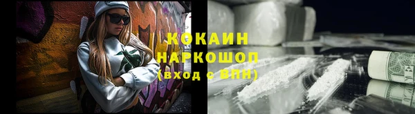 Альфа ПВП Инсар