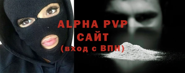 Альфа ПВП Инсар