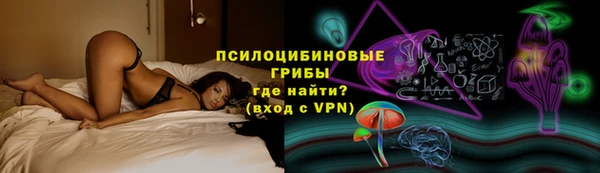 mdpv Иннополис