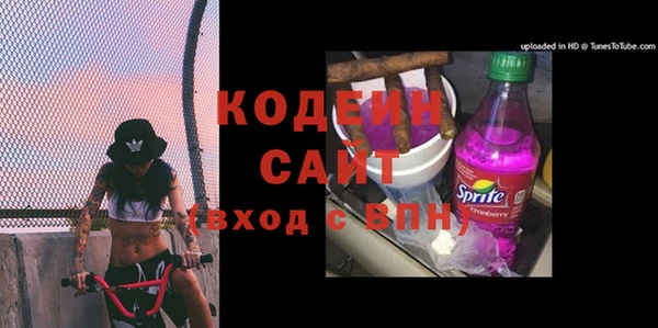 ПСИЛОЦИБИНОВЫЕ ГРИБЫ Каменка