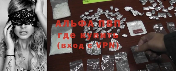 ПСИЛОЦИБИНОВЫЕ ГРИБЫ Каменка