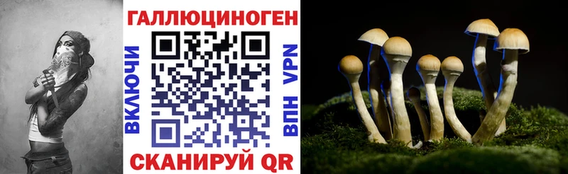 Купить где  Южноуральск  Галлюциногенные грибы Psilocybe 